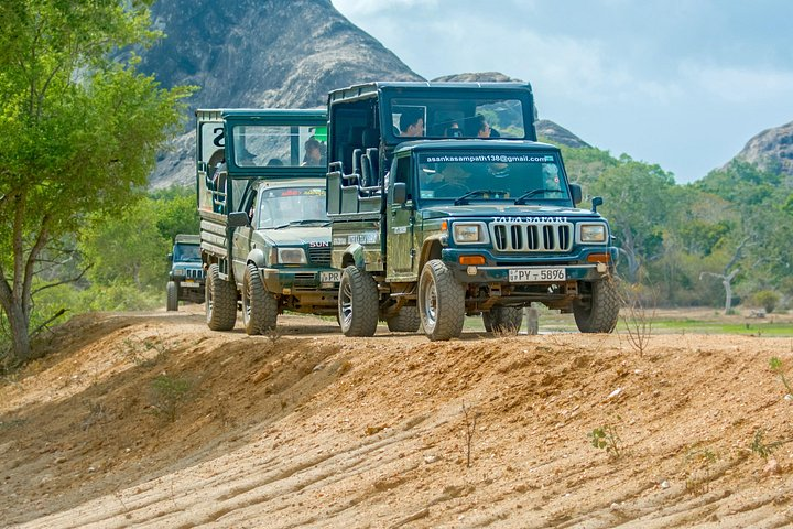 Day Tour to Wilpattu National Park from Colombo - Photo 1 of 9